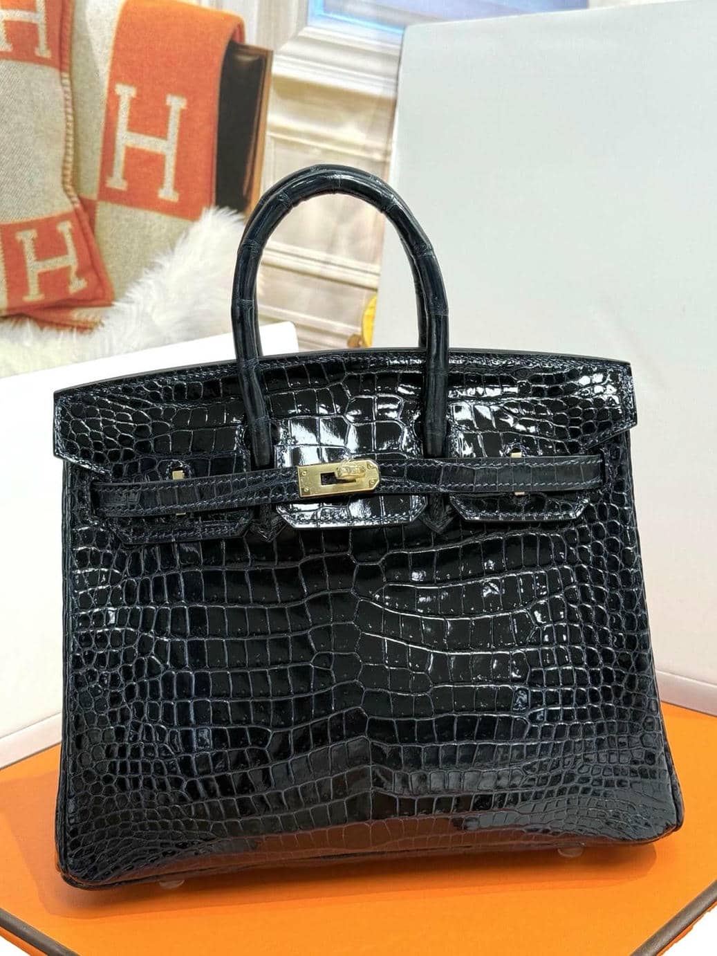 Birkin Exotic Leather-113